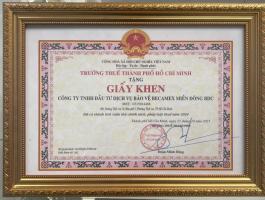 CỤC THUẾ TP. HỒ CH&Iacute; MINH KHEN TẶNG 2025